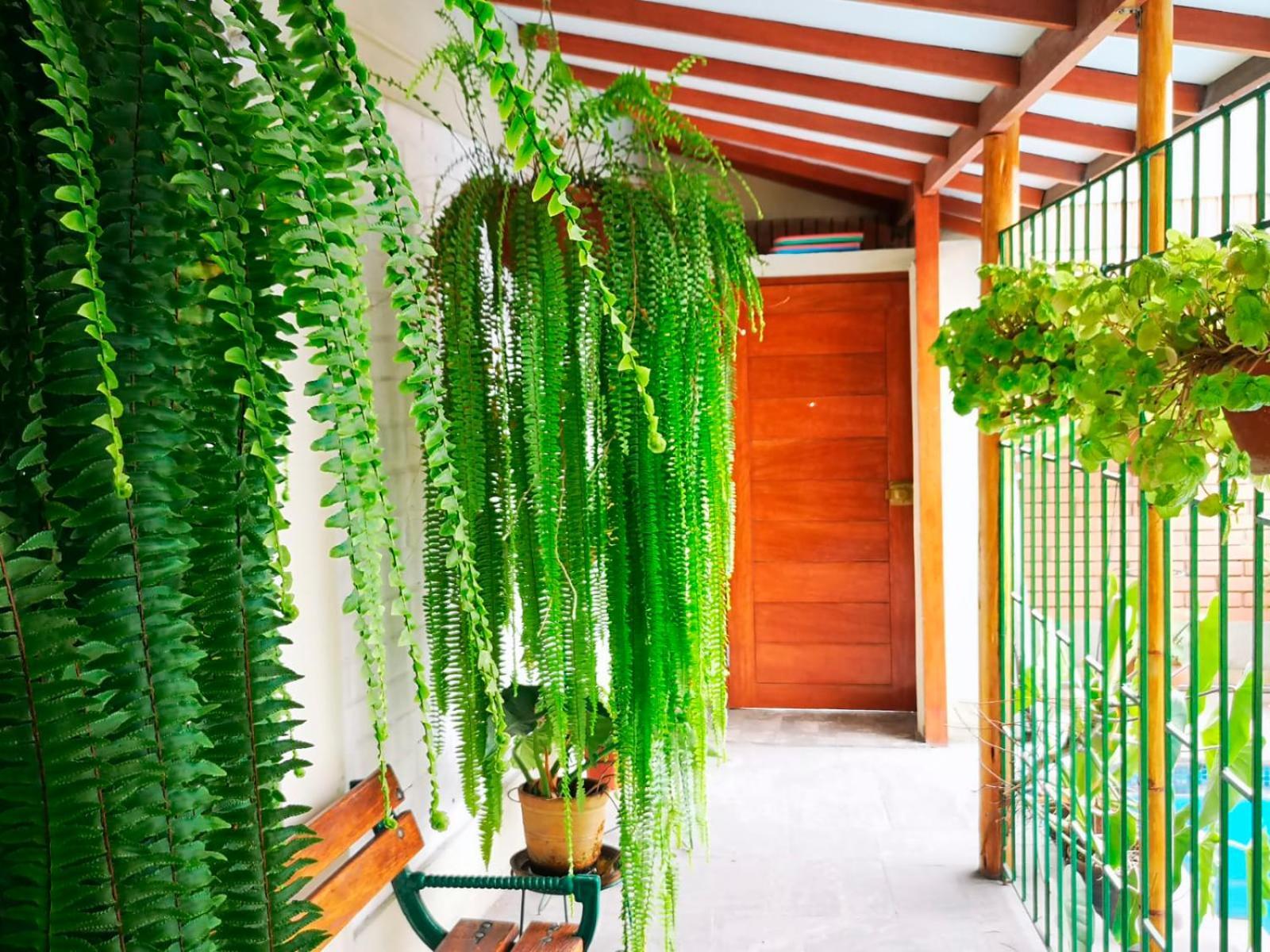 Apartmán Casa Amarello Lima Exteriér fotografie